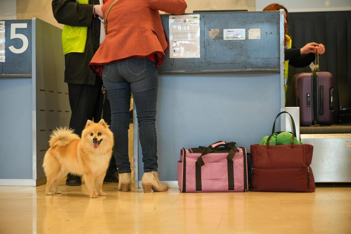 Pasajeros del Aeropuerto de Badajoz