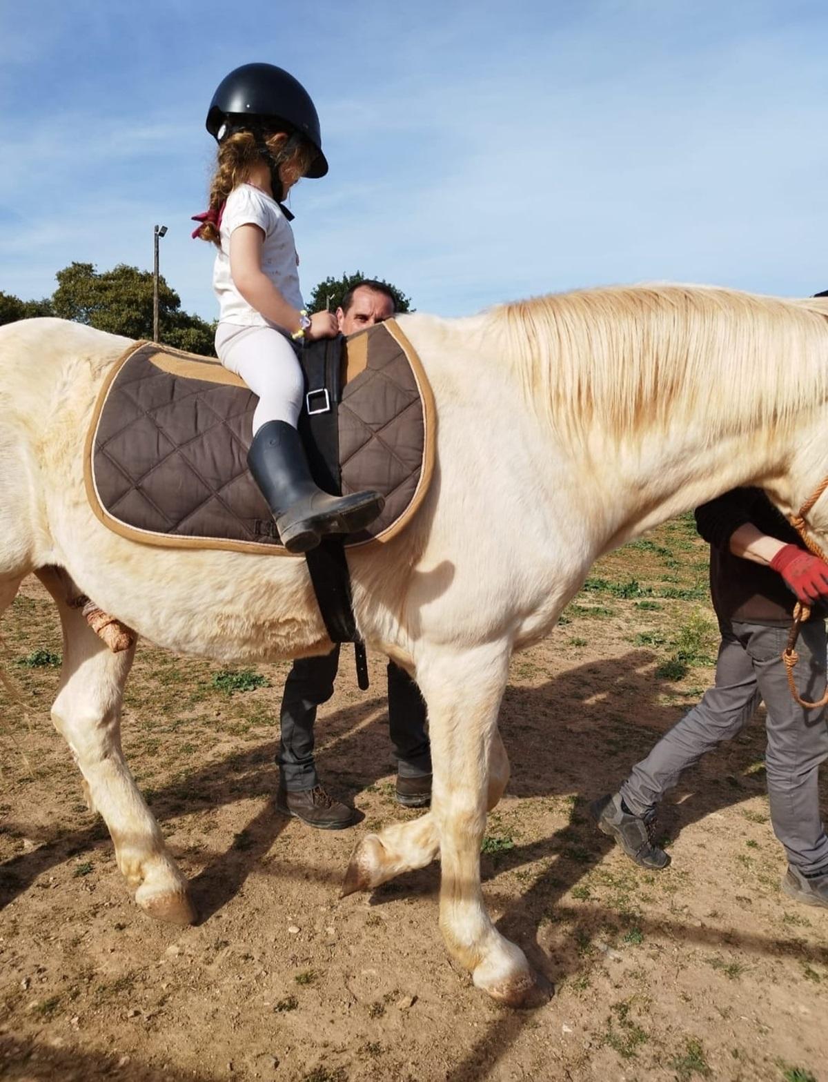 Sesión de terapia con caballos.