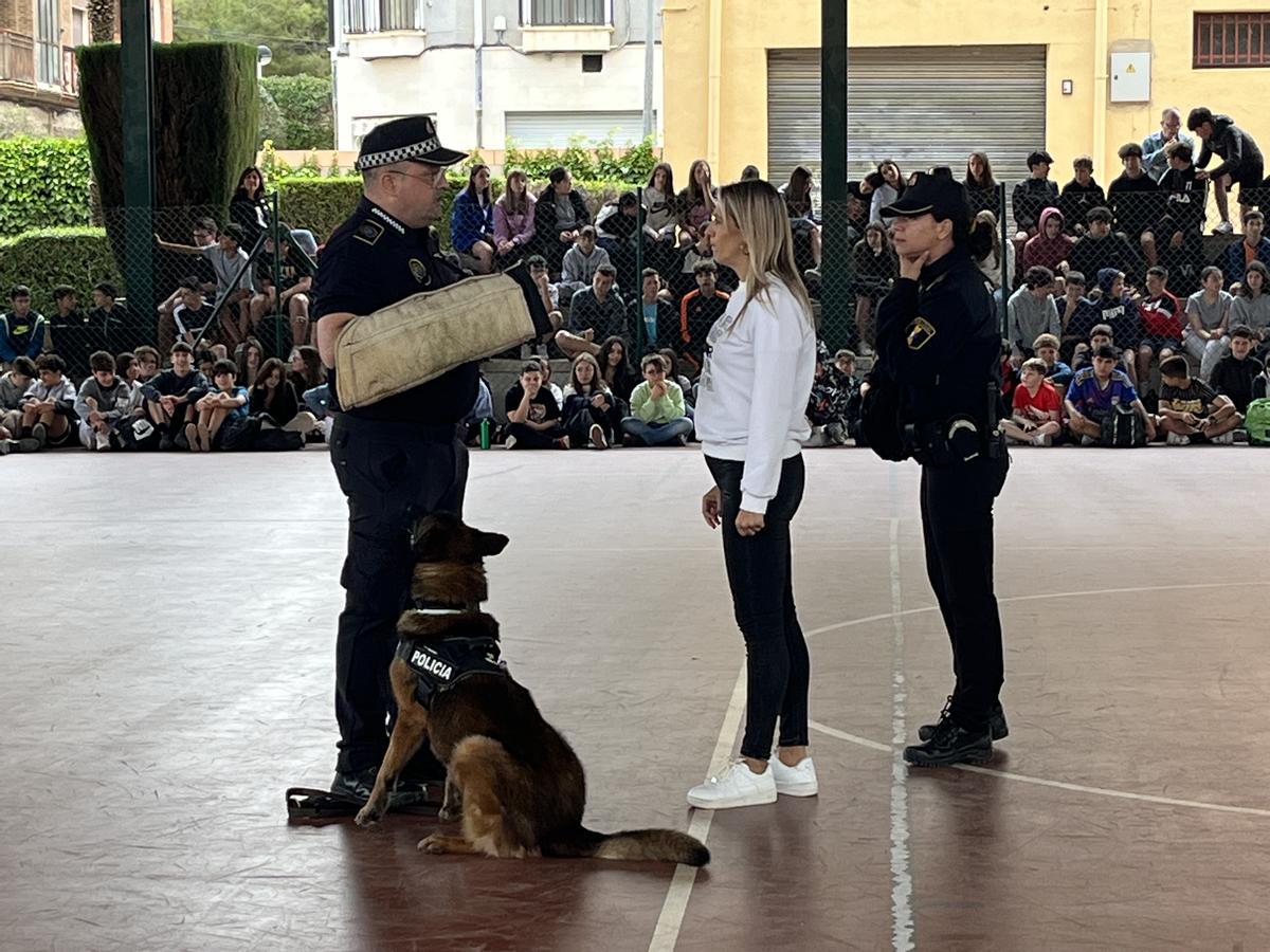 La exihición de la unidades caninas de la Policia Nacional y la Policia Local de Pinoso del curso del Agente Tour en Petrer.