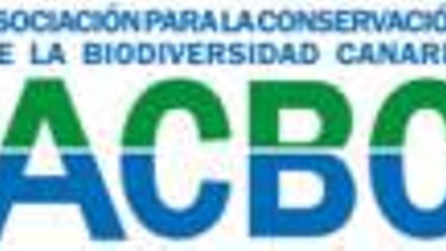 ¿Qué es la contaminación lumínica y por qué debería preocuparnos?