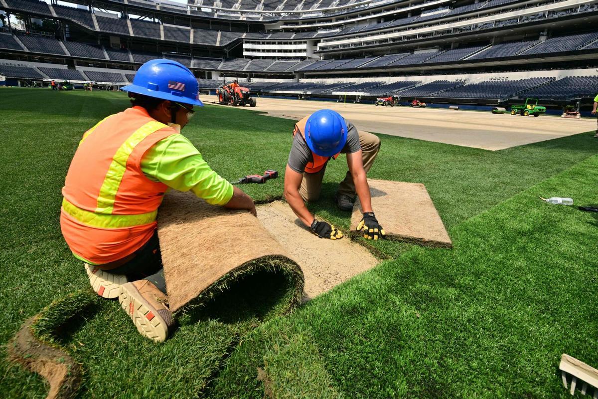 Los trabajadores instalan césped en el campo en el SoFi Stadium en Inglewood, California, antes de su cambio de nombre temporal al Estadio de Los Ángeles para la Copa del Mundo el 13 de mayo de 2026.