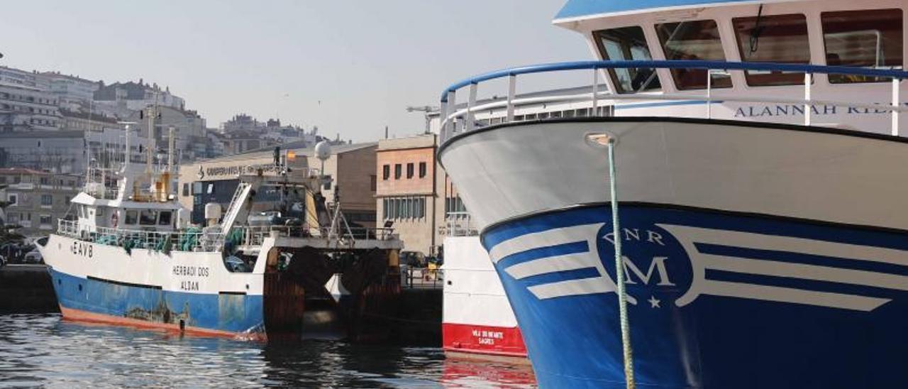 Buques de Gran Sol amarrados en el puerto de Vigo.