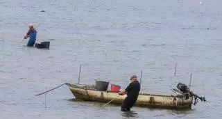 El enfrentamiento Parquistas-Cofradía llega a los juzgados