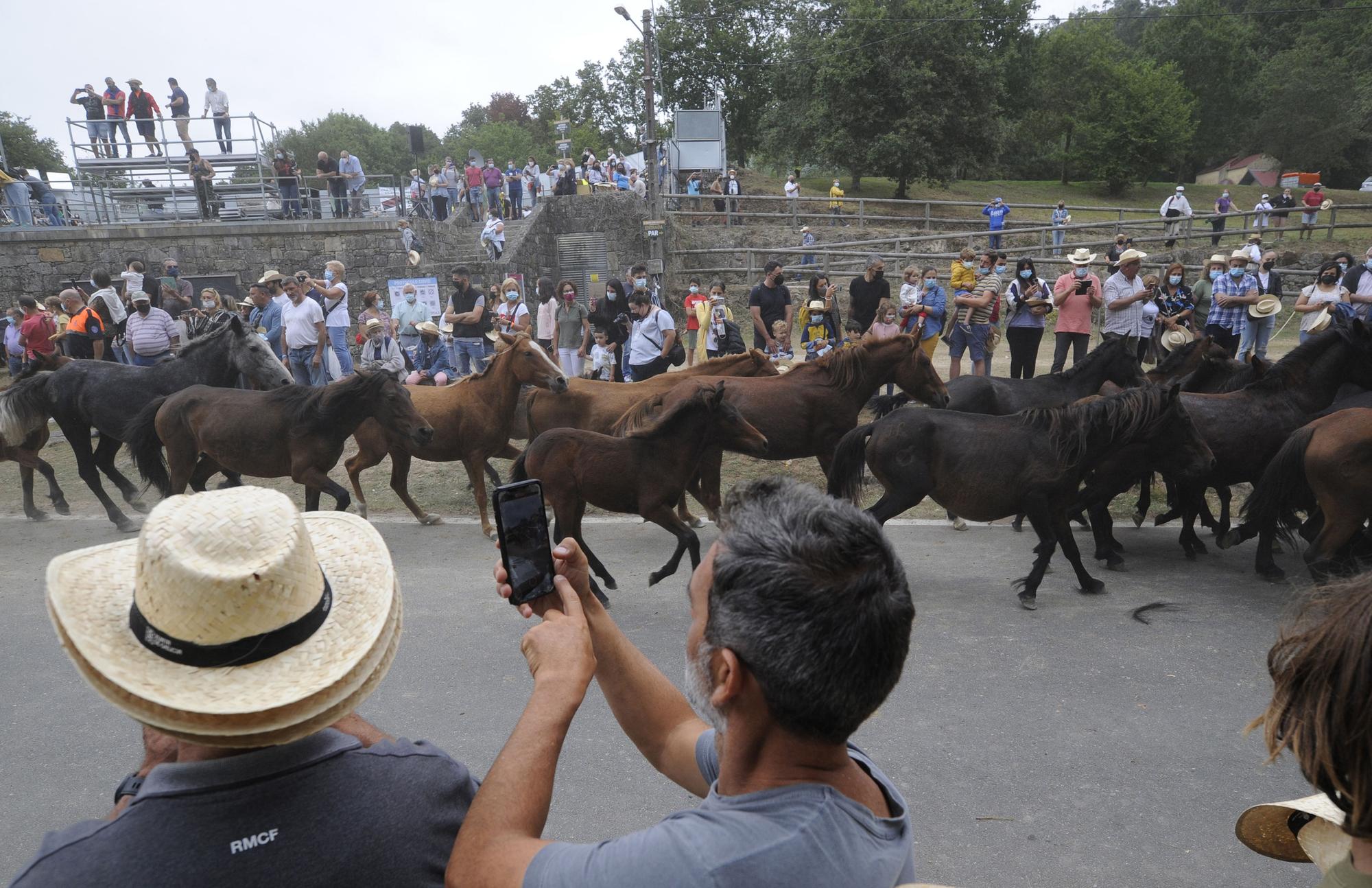 Rapa de alto voltaje en Sabucedo