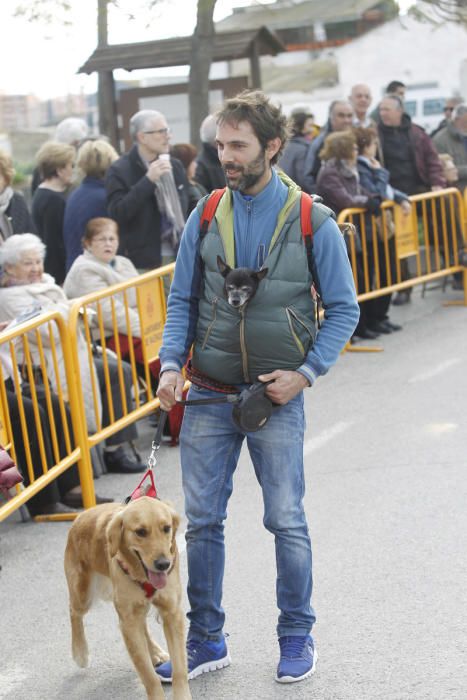 Benidición de animales en la Ermita de Vera y en la Punta