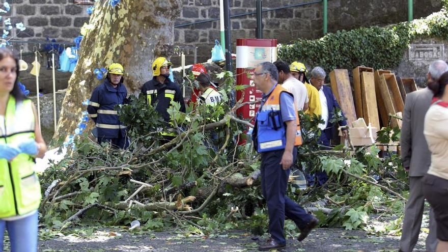 Once muertos por la caída de un árbol en Madeira