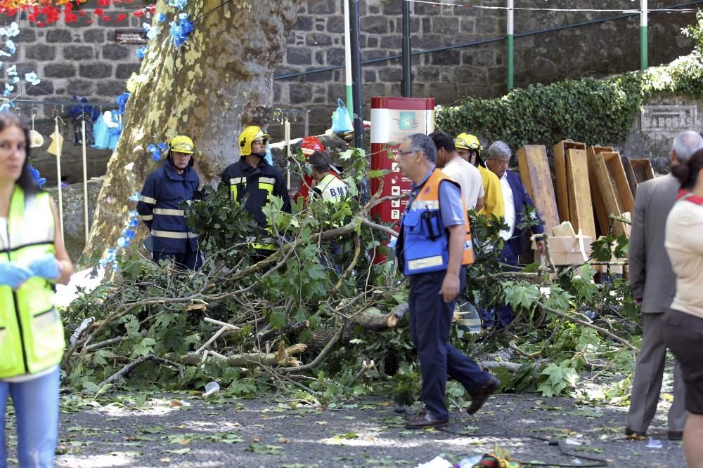 Accidente en la isla de Madeira