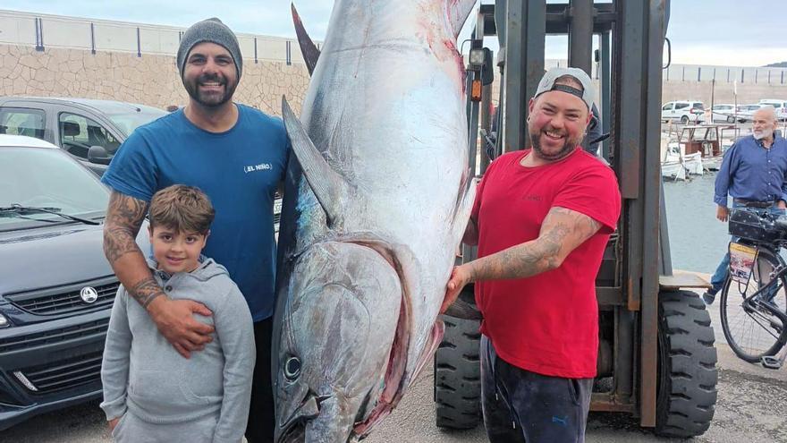 Capturan un atún de récord en aguas de Baleares
