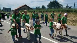 Espectáculo del campo en Llanera con el desfile de San Isidro y la mejor tradición ganadera
