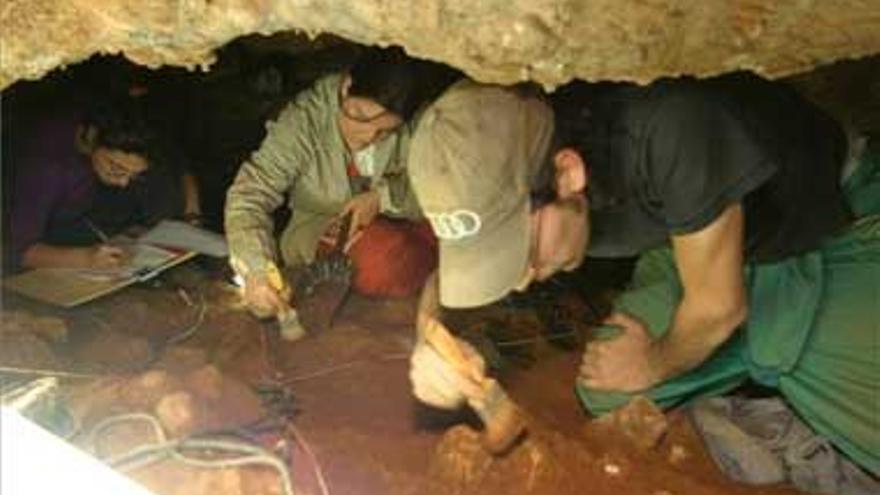 La cueva de Maltravieso saca a la luz su legado con excavaciones en directo