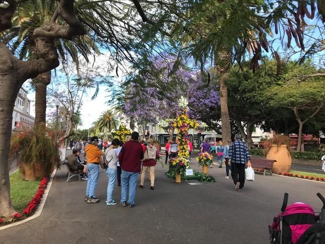 Concurso de Cruces de Flores Naturales