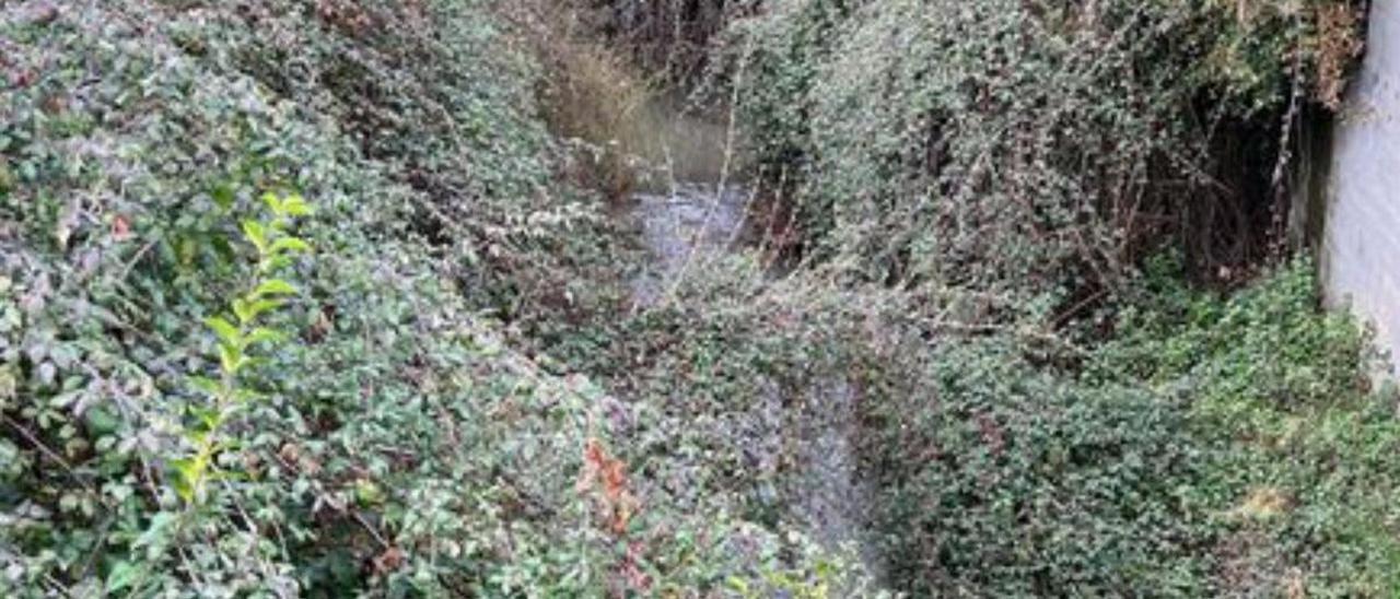 El río Montés, en Lada.