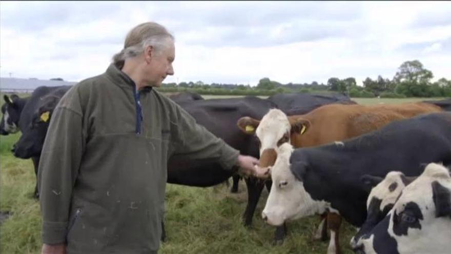 Un granjero convertido en vegetariano dona 62 cabezas de ganado