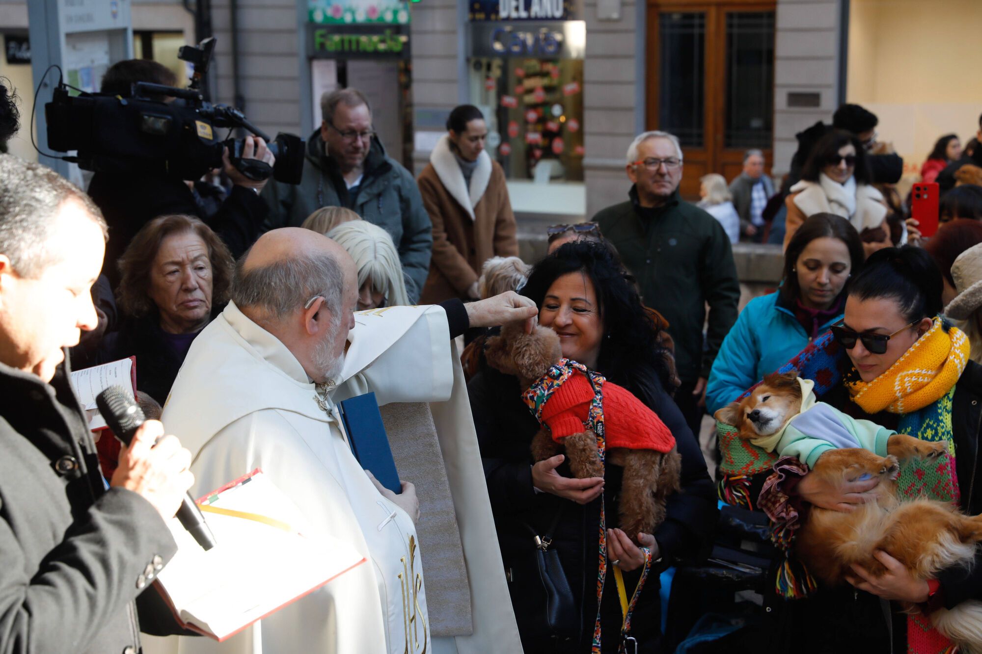 EN IMÁGENES: Bendición de mascotas por San Antón en la basílica de San Juan de Oviedo