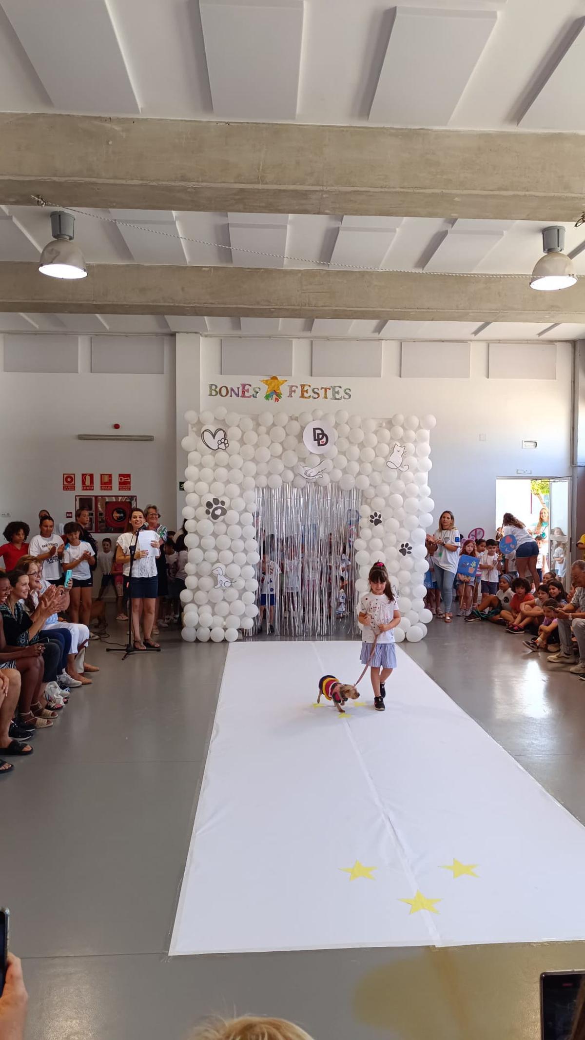 Pequeños diseñadores solidarios y amantes de los animales en Sant Antoni Pequeños diseñadores solidarios y amantes de los animales en Sant Antoni