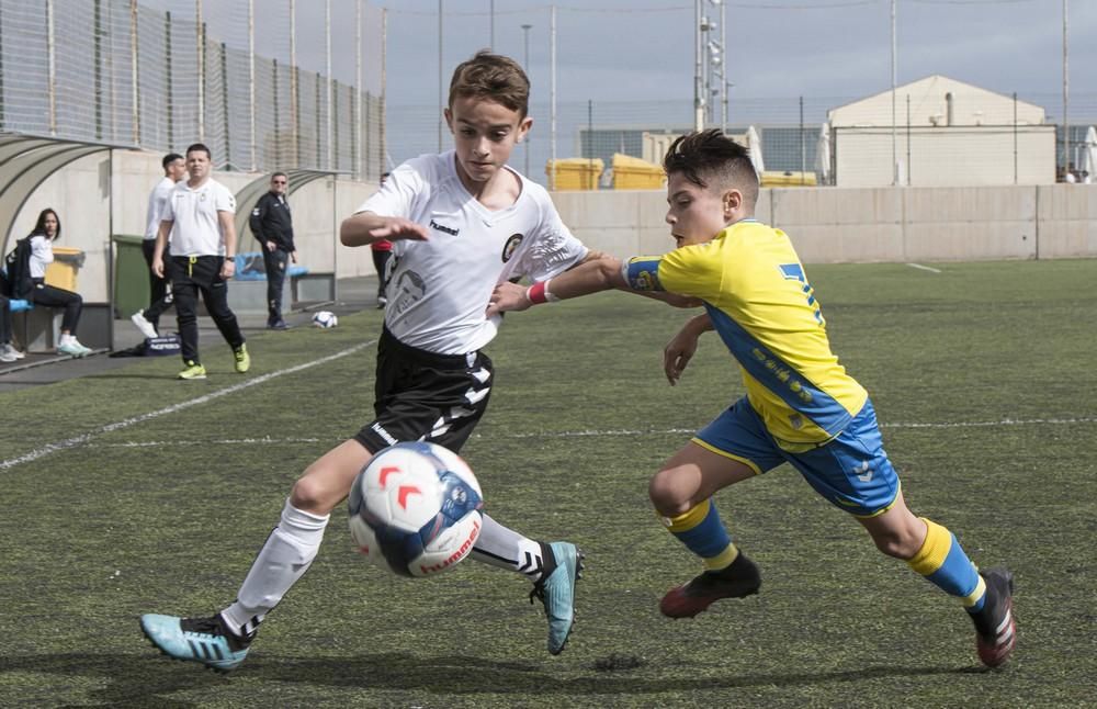 Las Palmas-Arucas (benjamines)