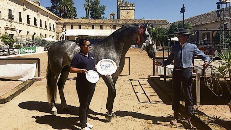 &quot;Kiko XXIV&quot; fue subcampeón en el concurso de Córdoba de este fin de semana. // FdV