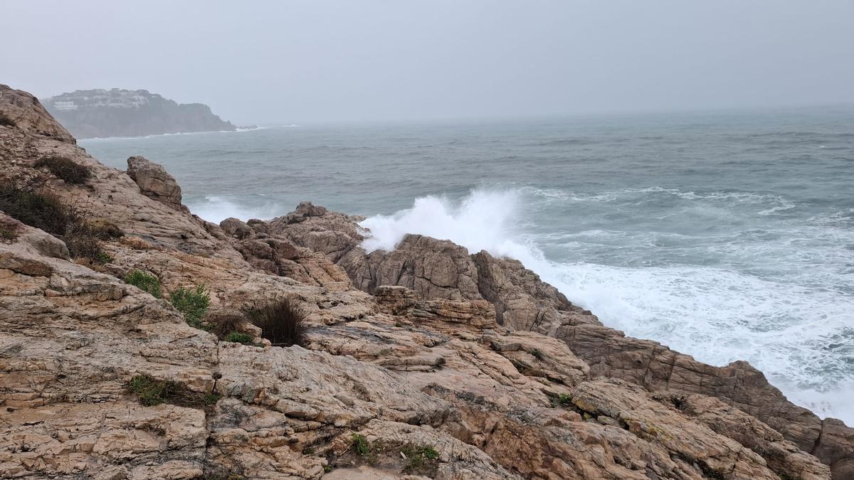 Les fotos dels efectes de la llevantada a les comarques gironines