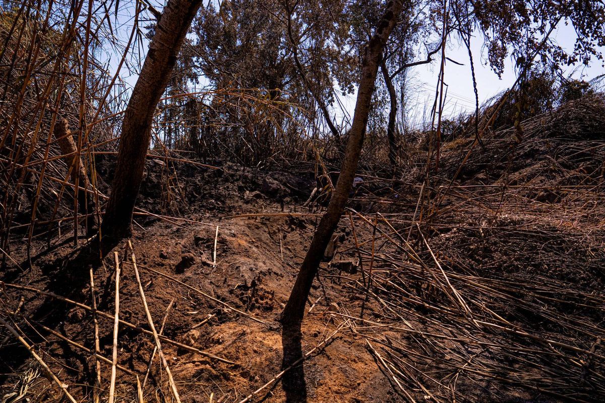 El 1 de julio de 2025, un día después del incendio, la zona cero del incendio en las barracas cercanas al Port de Barcelona. Los bomberos trabajaron en este punto hasta esa misma tarde para evitar que el fuego se reavivara debido a la intensa ola de calor. Durante la tarde, el lugar se encuentra sin personas, ya que los residentes que habitan la zona están trabajando en las industrias y comercios cercanos.