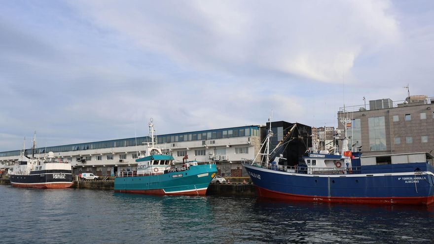 Solo España cumple con el control a la pesca importada dentro de la UE