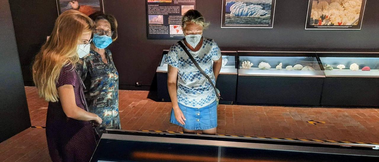 Visitantes en el Museo de la Biodiversidad de Ibi.