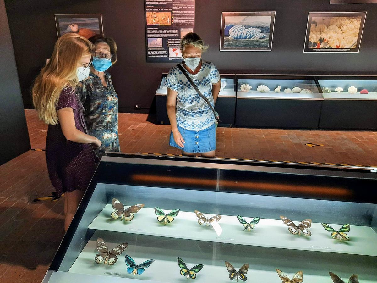 Visitantes en el Museo de la Biodiversidad de Ibi.