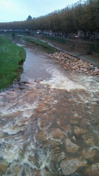 Així de ple passa el riu Daró, avui divendres, per la Bisbal d'Empordà