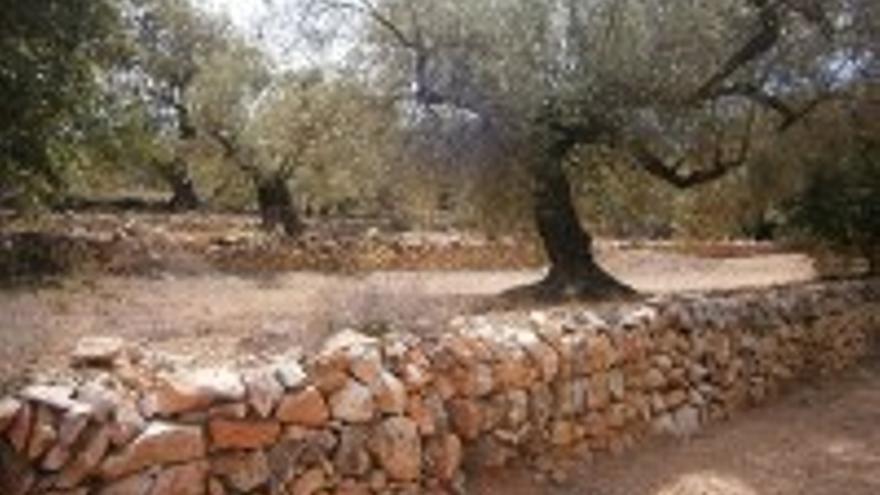 Conferència: L&#039;ofici de margener i la tècnica de la pedra seca