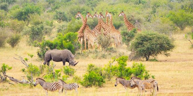 Parque Nacional Kruger en Sudáfrica
