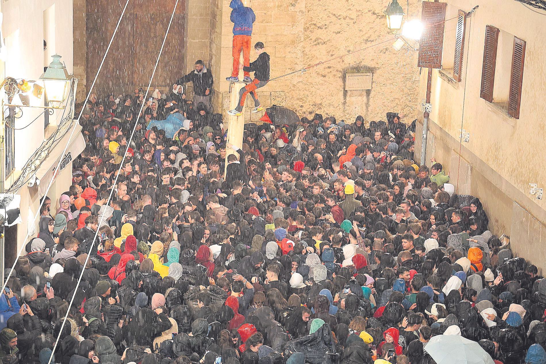 Bei Wind und Regen: So war das gefährliche Maibaumkraxeln zu Sant Antoni in Pollença auf Mallorca