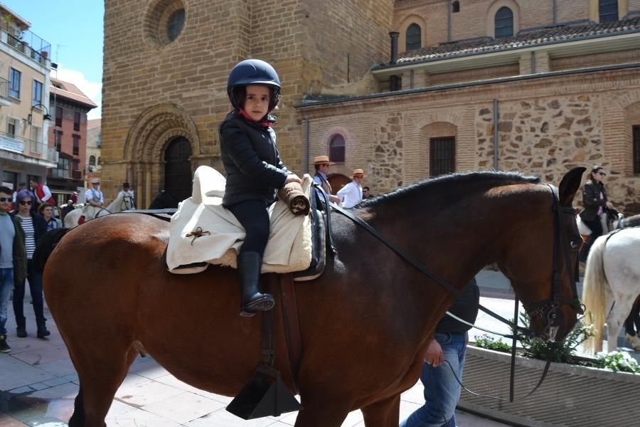 Día del Caballo en Benavente