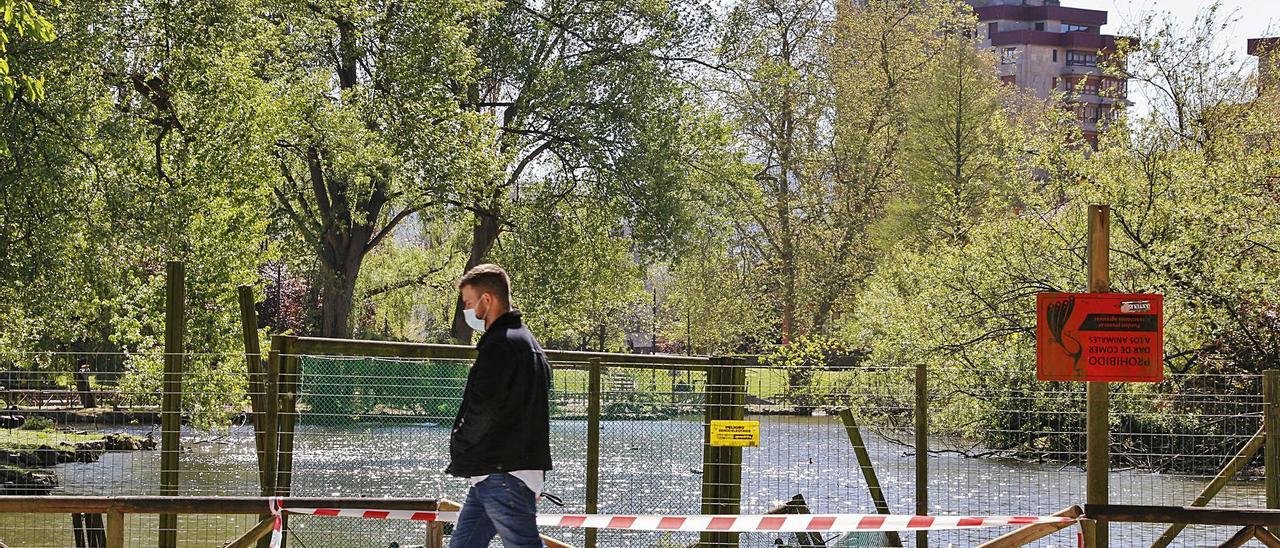 Un paseante con su perro,  al lado de uno de los estanques del parque de Isabel  la Católica.