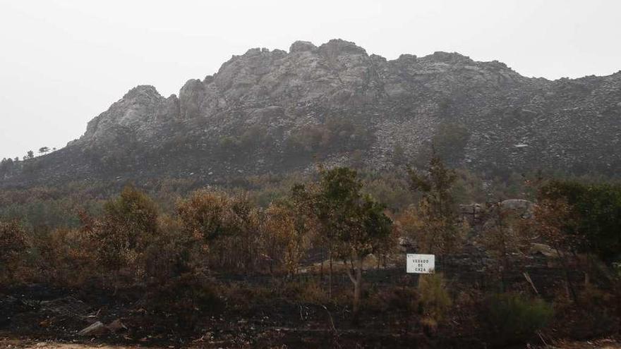 Imagen de ayer de O Galiñeiro, el monte de Vincios, devastado al completo. // Ricardo Grobas