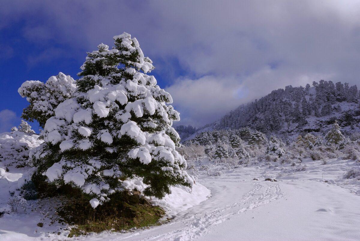 El Congreso aprueba el Parque Nacional de la Sierra de las Nieves