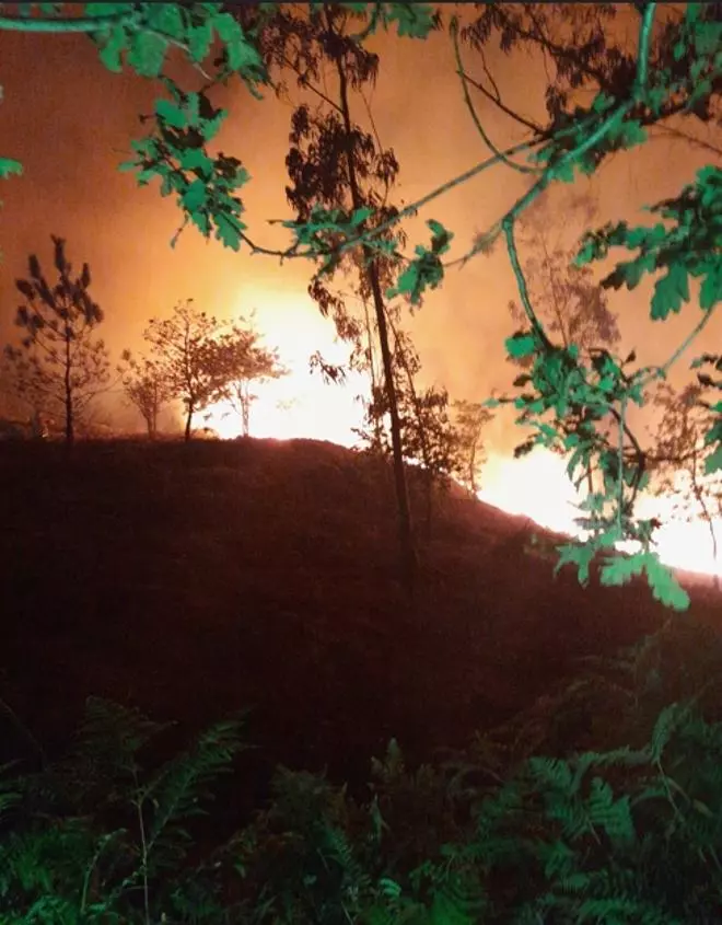 Un incendio de madrugada quema unas 5 hectáreas de monte en Ermelo
