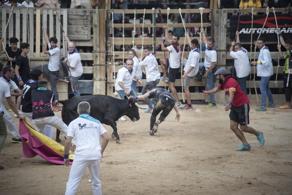 Corre de bou de diumenge a Cardona