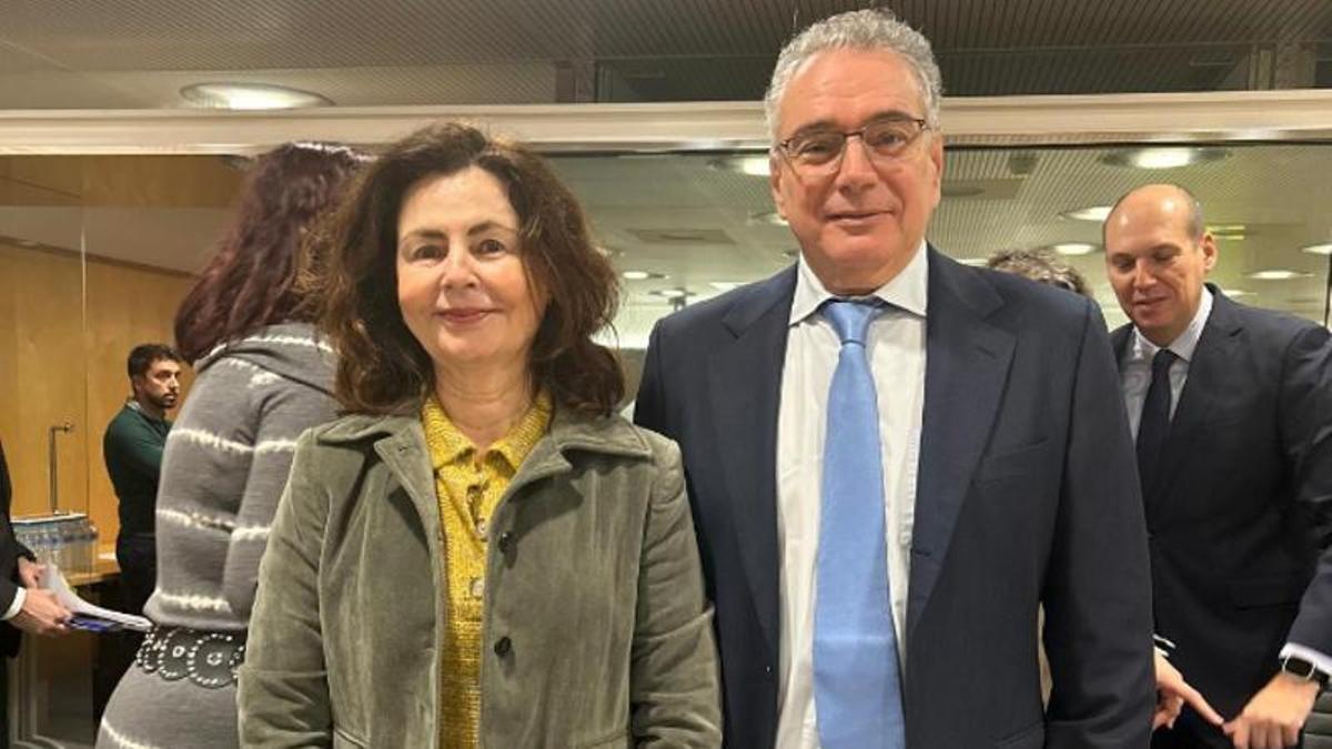 La consejera de Hacienda canaria, Matilde Asián, junto a su viceconsejero Gabriel Megías.