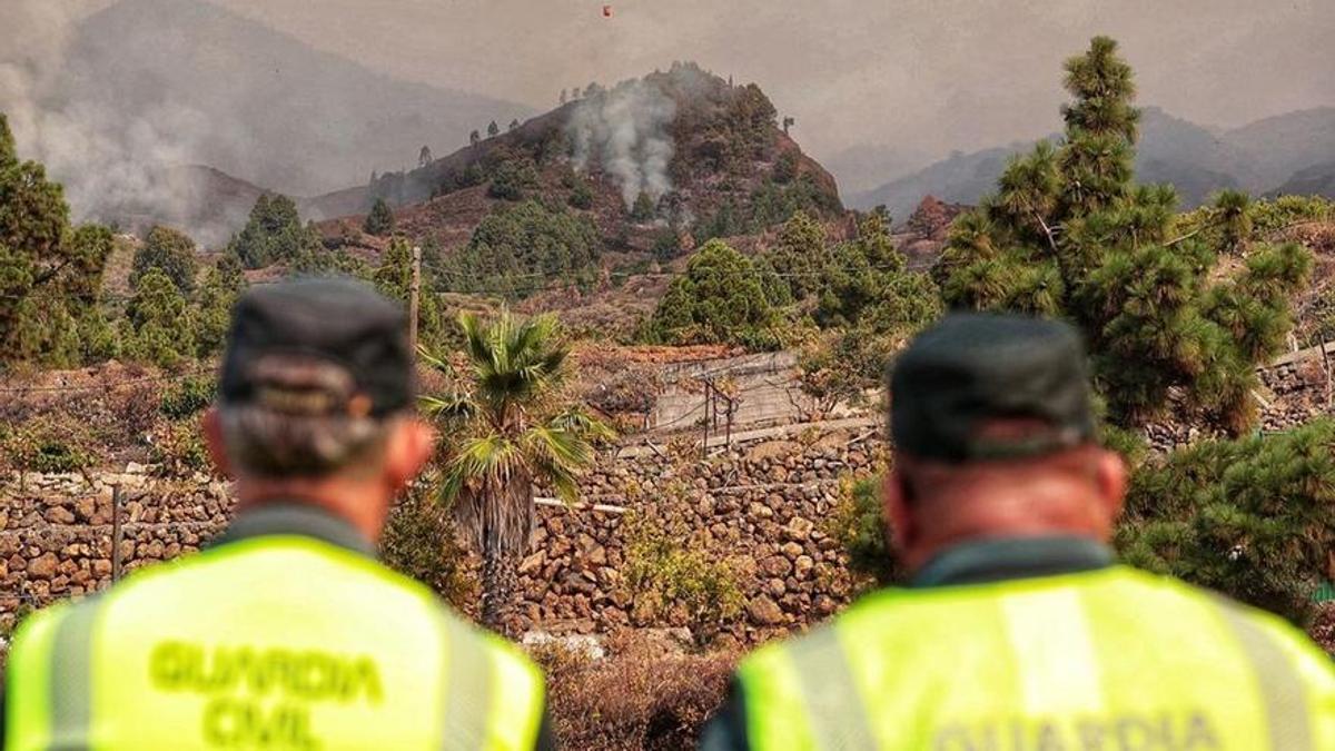 Incendio En Tenerife El Fuego Podría Traspasar La Dorsal Y Llegar Al Norte De Tenerife 6384