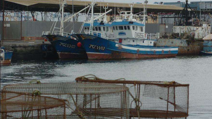 Pesqueros atracados en el Puerto de La Luz, en la capital grancanaria.