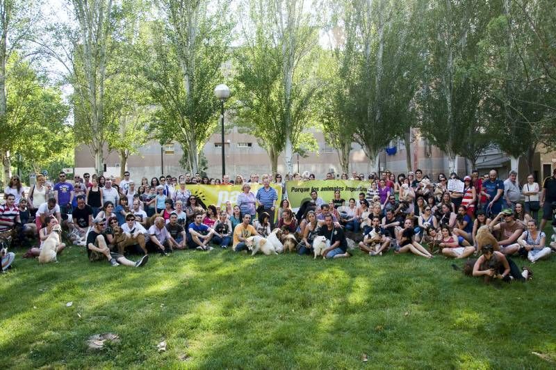 Fotogalería: Rechazo vecinal a la muerte del perro de Las Delicias