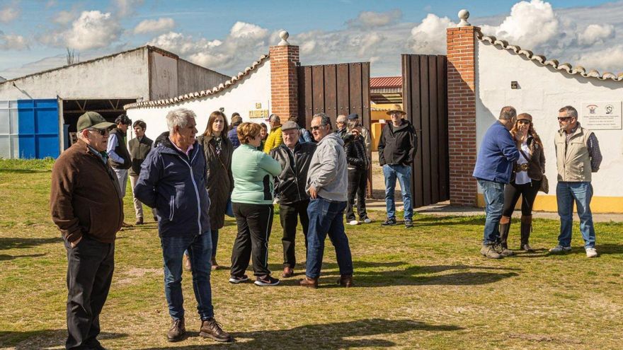 El Foro Taurino de Zamora &quot;vuelve a los ruedos&quot;