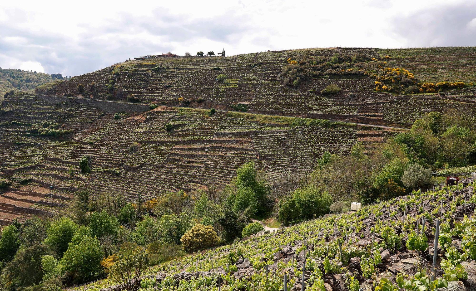 La magia de la Ribeira Sacra y los cañones del Sil, a vista de dron