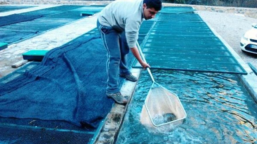 La acuicultura gana terreno en los productos del mar