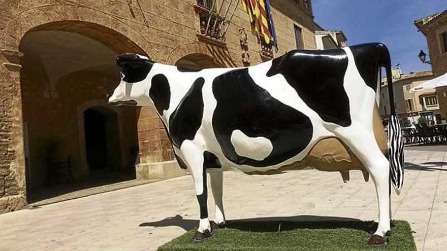 Doce ganaderías de Menorca  y apenas cinco de Mallorca concursarán en la &#039;Fira 2017&#039; de Campos