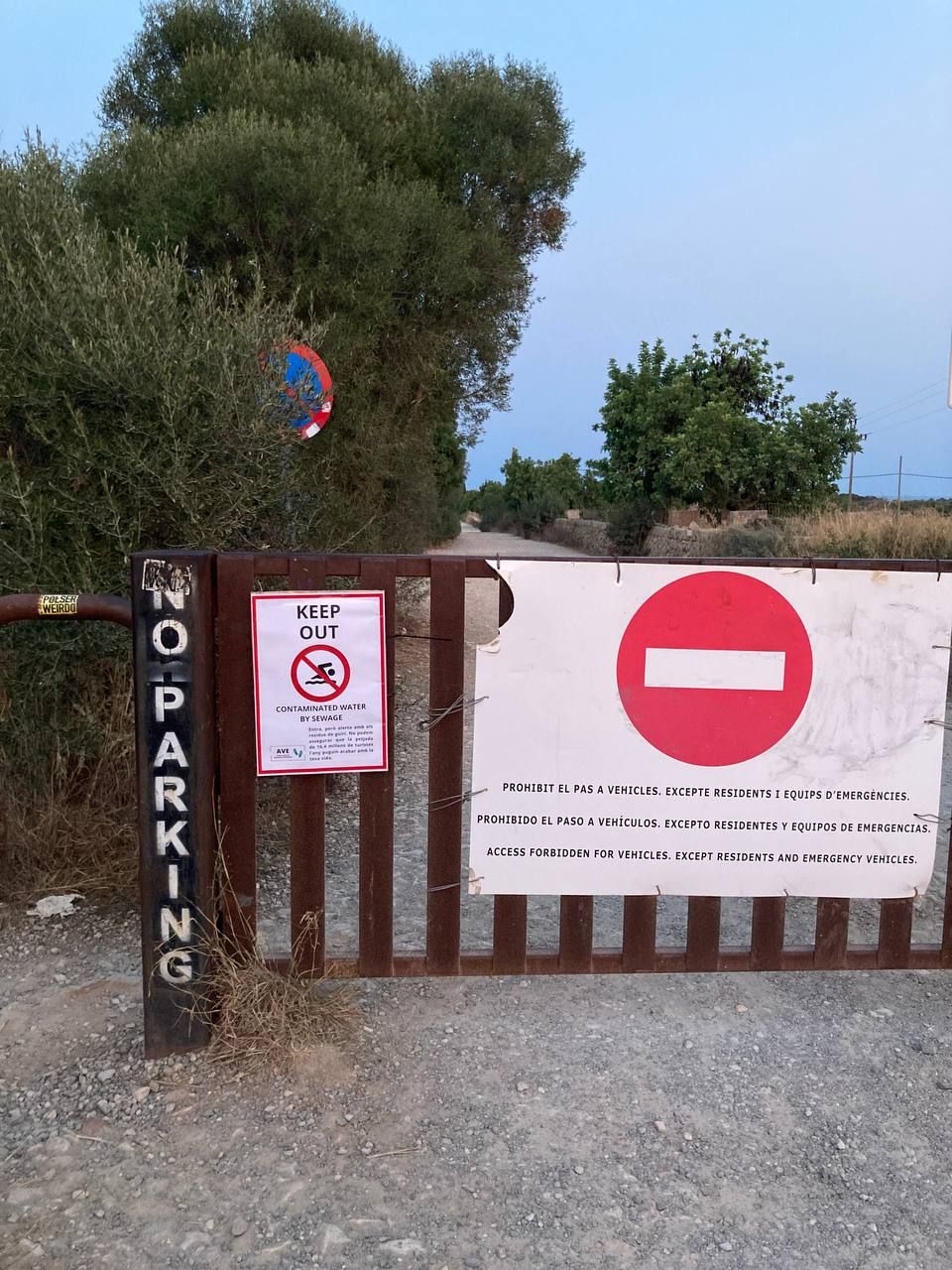 FOTOS | Protesta contra la masificación en las playas de Mallorca: en inglés, "playa cerrada"; en catalán, "playa abierta"