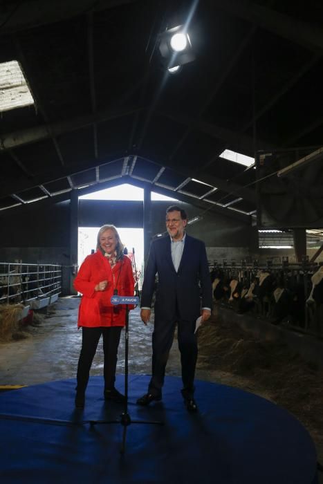 Visita de Mariano Rajoy a una ganadería en Gozón (Asturias)