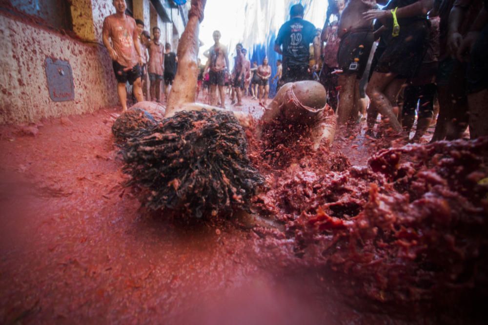 Tomatina de Buñol 2019