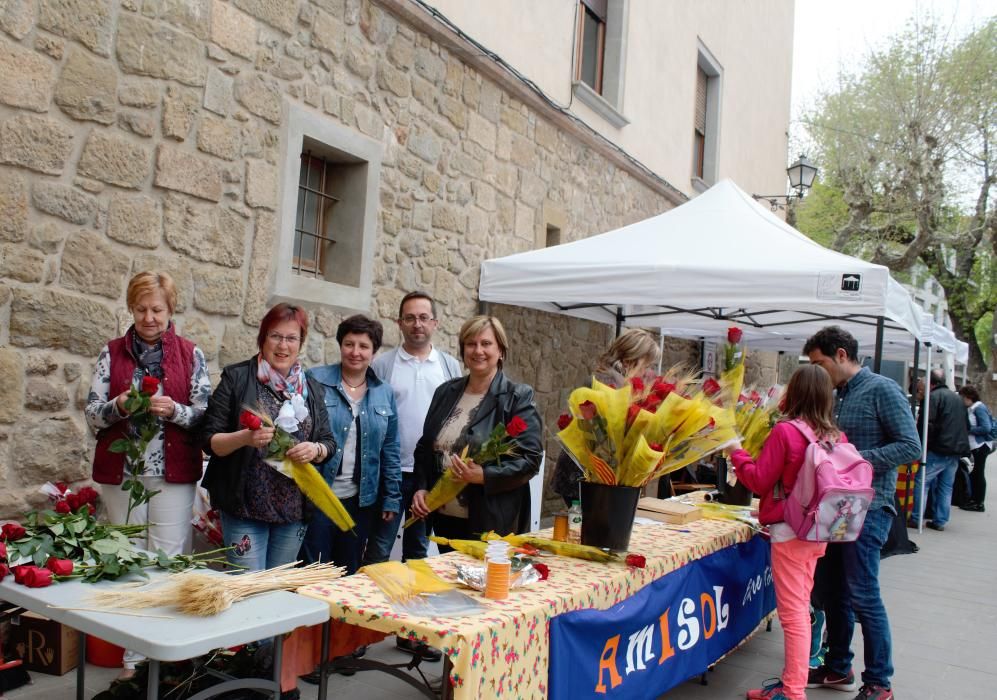 Diada de Sant Jordi a Solsona