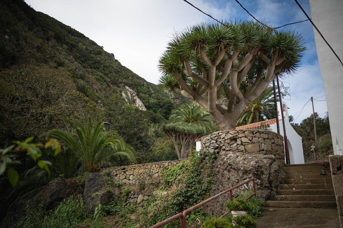 Un drago preside el acceso por la parte baja a la plaza de la ermita de Chamorga.