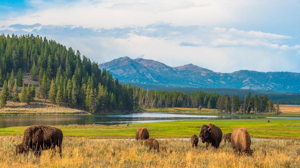 Parque nacional, Estados Unidos, Yellowstone, Wyoming